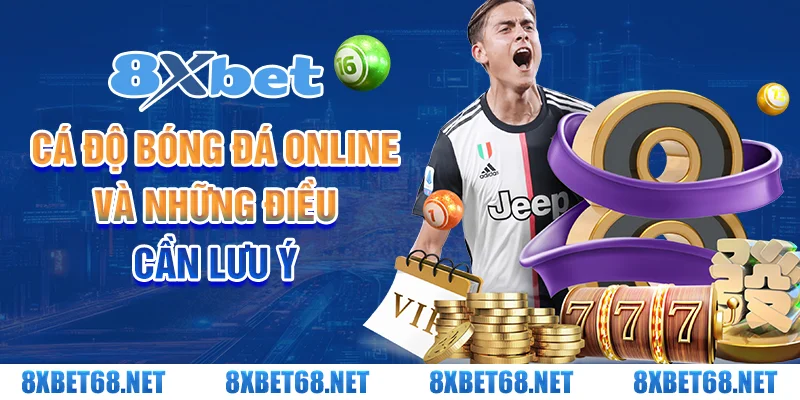 Cá độ bóng đá online và những điều cần lưu ý